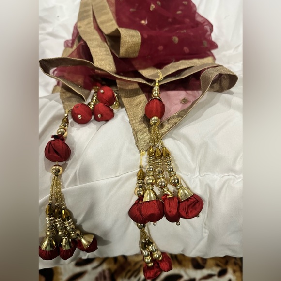 Indian Lehenga Dress - Picture 12 of 16